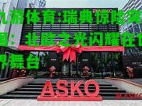 九游体育:瑞典惊险突围：北欧之光闪耀在世界舞台