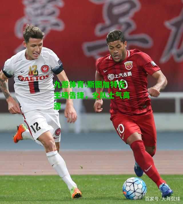斯图加特在主场告捷，全队士气高涨