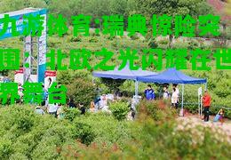 瑞典惊险突围：北欧之光闪耀在世界舞台