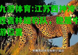 江苏西神冷胜吉林雄豹队，稳居中游位置